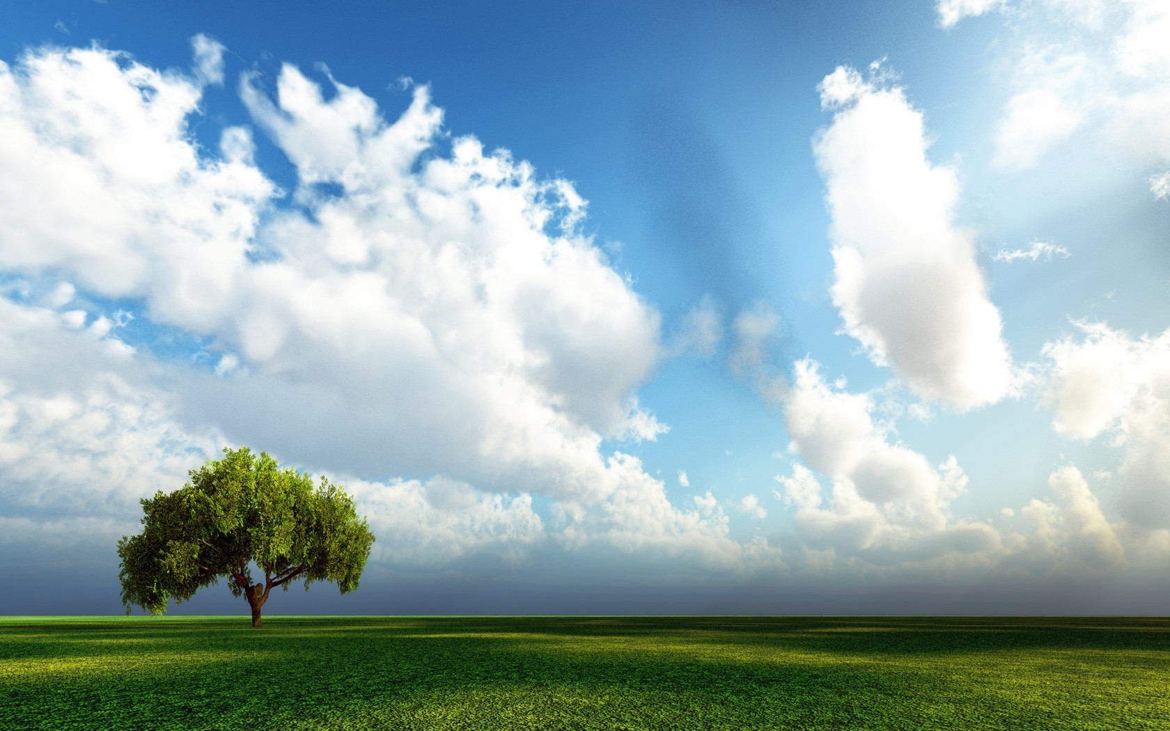 ciel arbre champ herbe