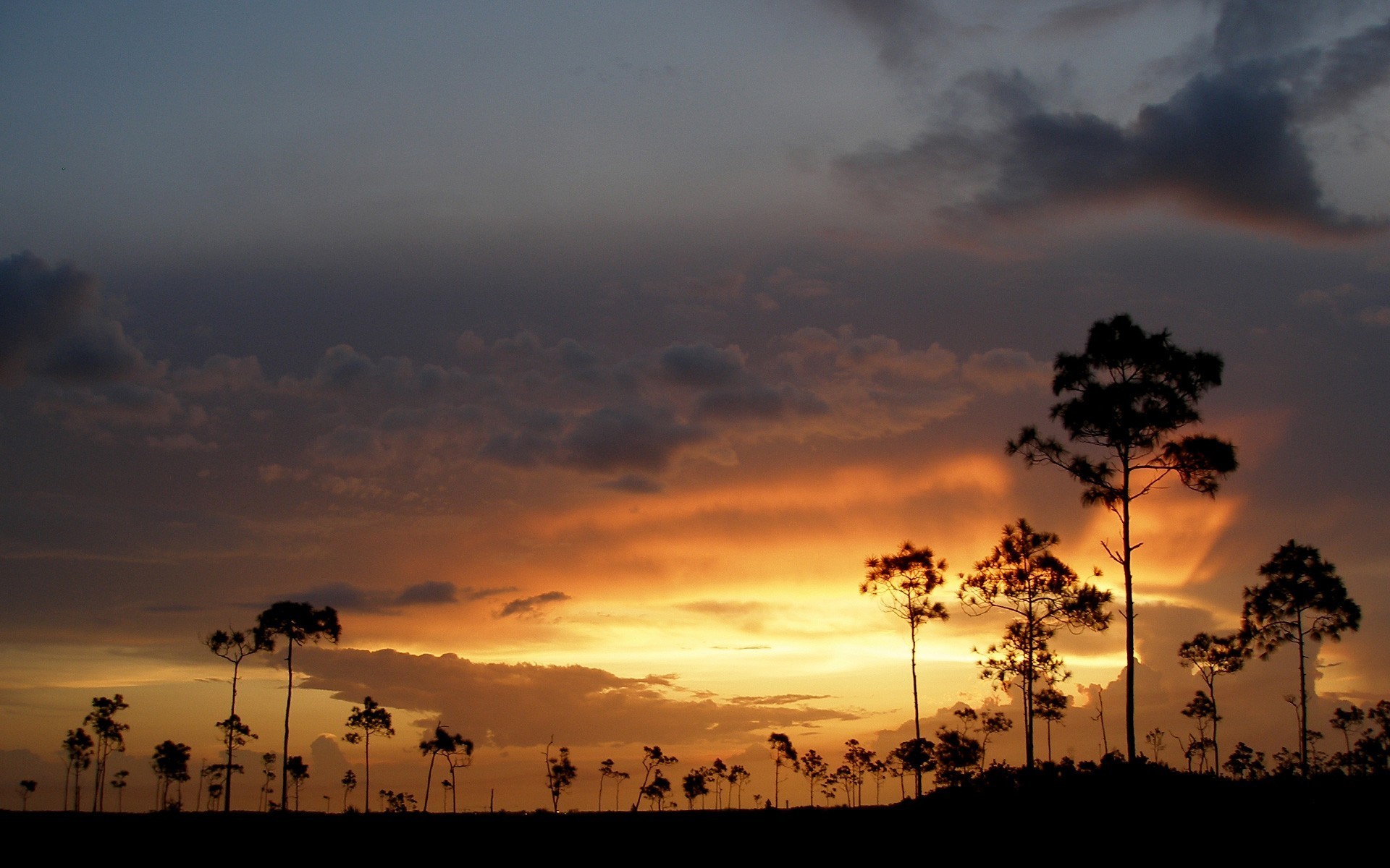 sonnenuntergang bäume wolken himmel