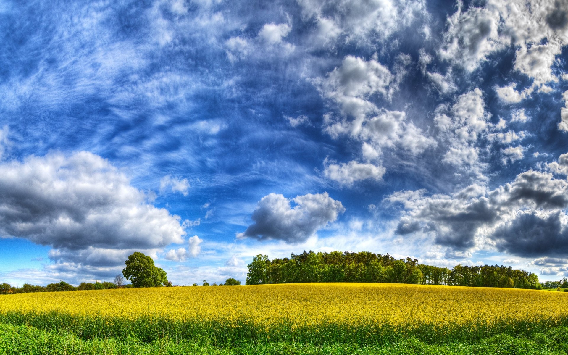 himmel feld wolken gelb