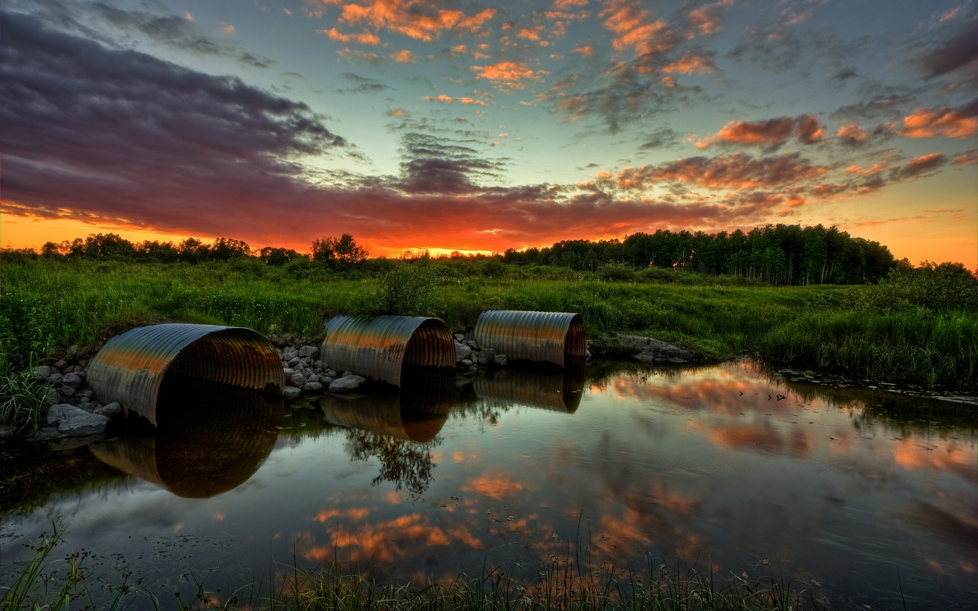 puesta de sol pantano cielo bosque