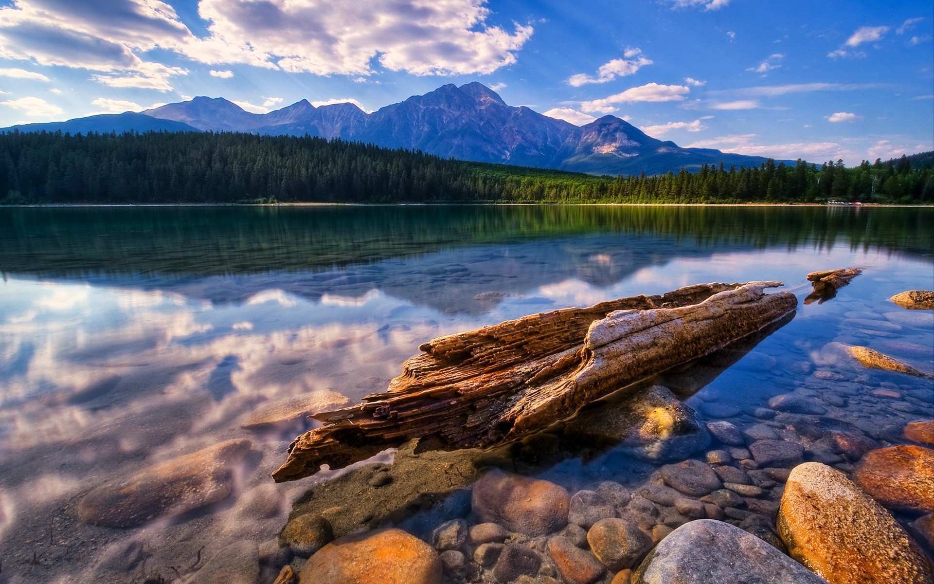 mountain lake log