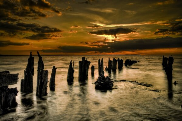 Sonnenuntergang am Meer mit Baumstämmen