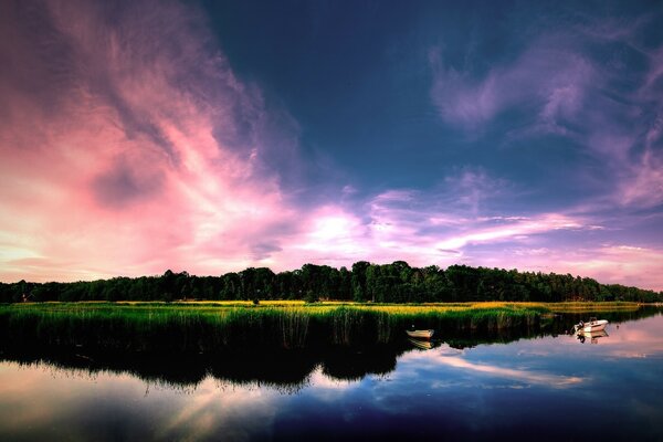 Coucher de soleil sur le lac et la forêt verte