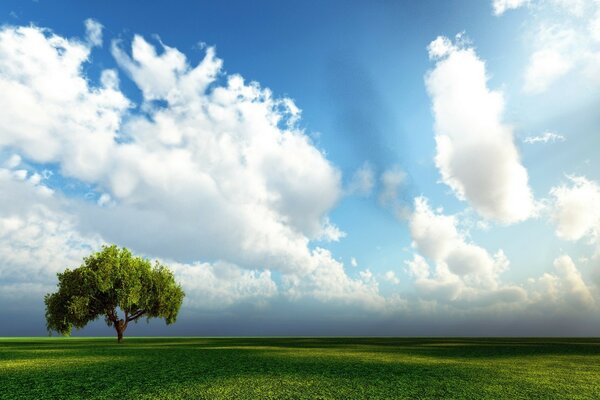 Foto en el Escritorio. Un campo verde con un árbol contra un cielo azul con nubes blancas