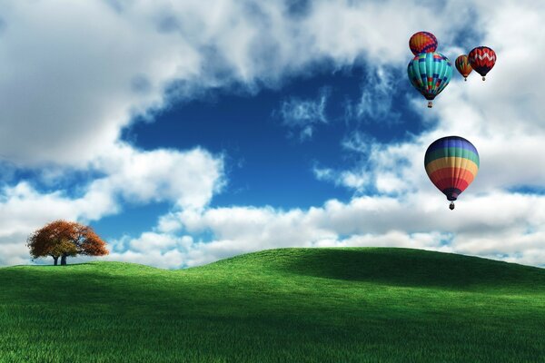 Colorful balloons fly over the field