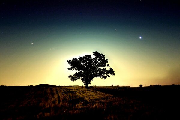 Shining morning stars in the sky