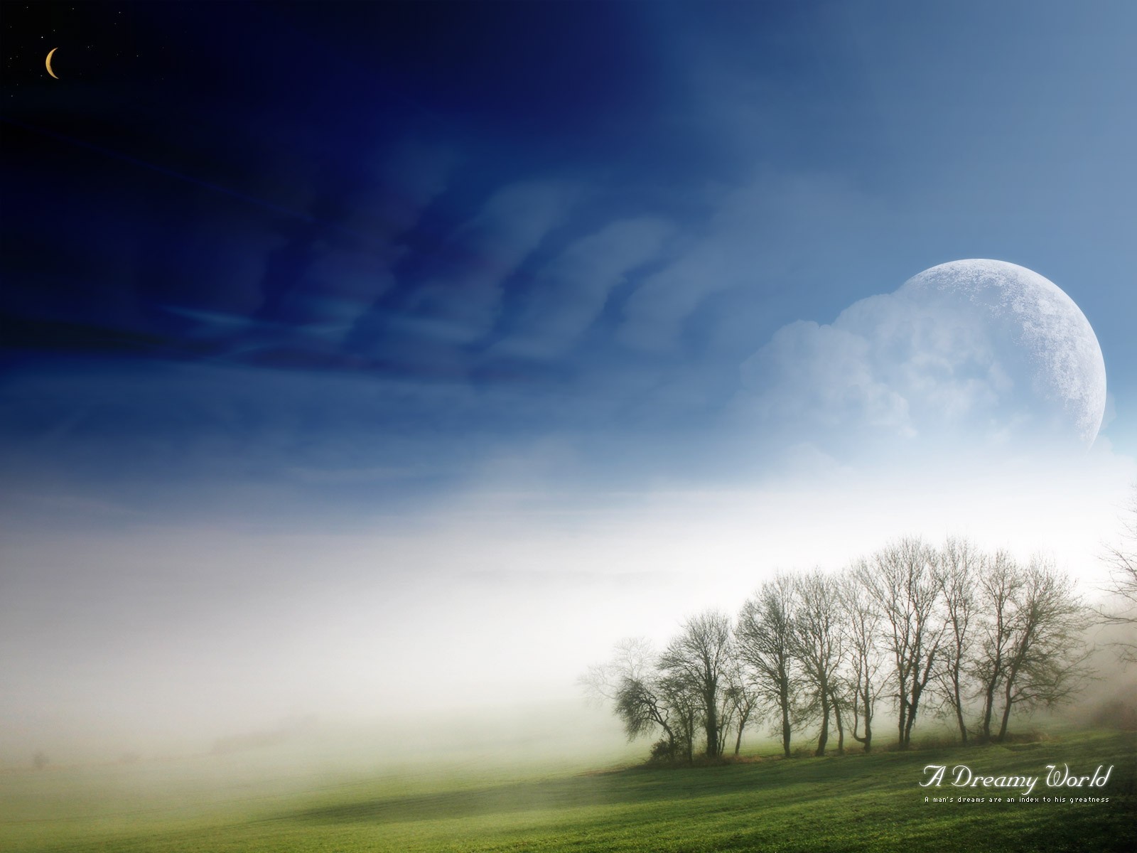 verträumte welt nebel bäume himmel