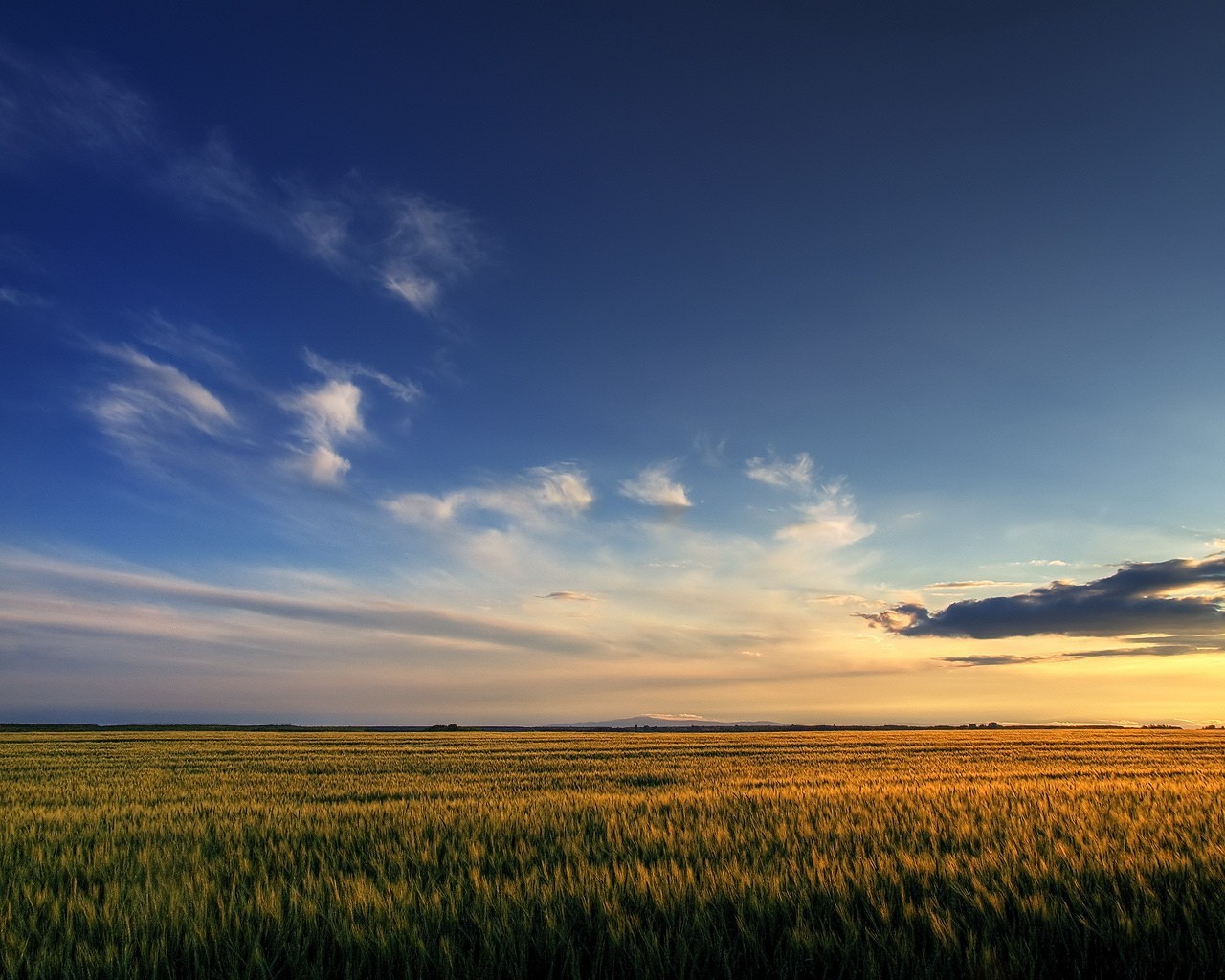 campo cielo nubes