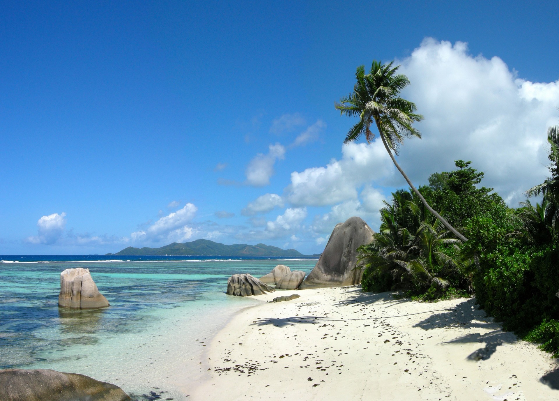 insel palmen strand meer