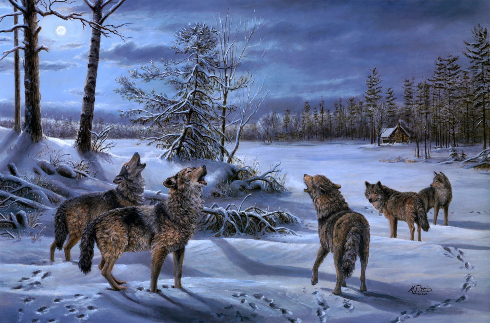 noche lobos pintura cabaña manada lobo bosque luna cabaña invierno