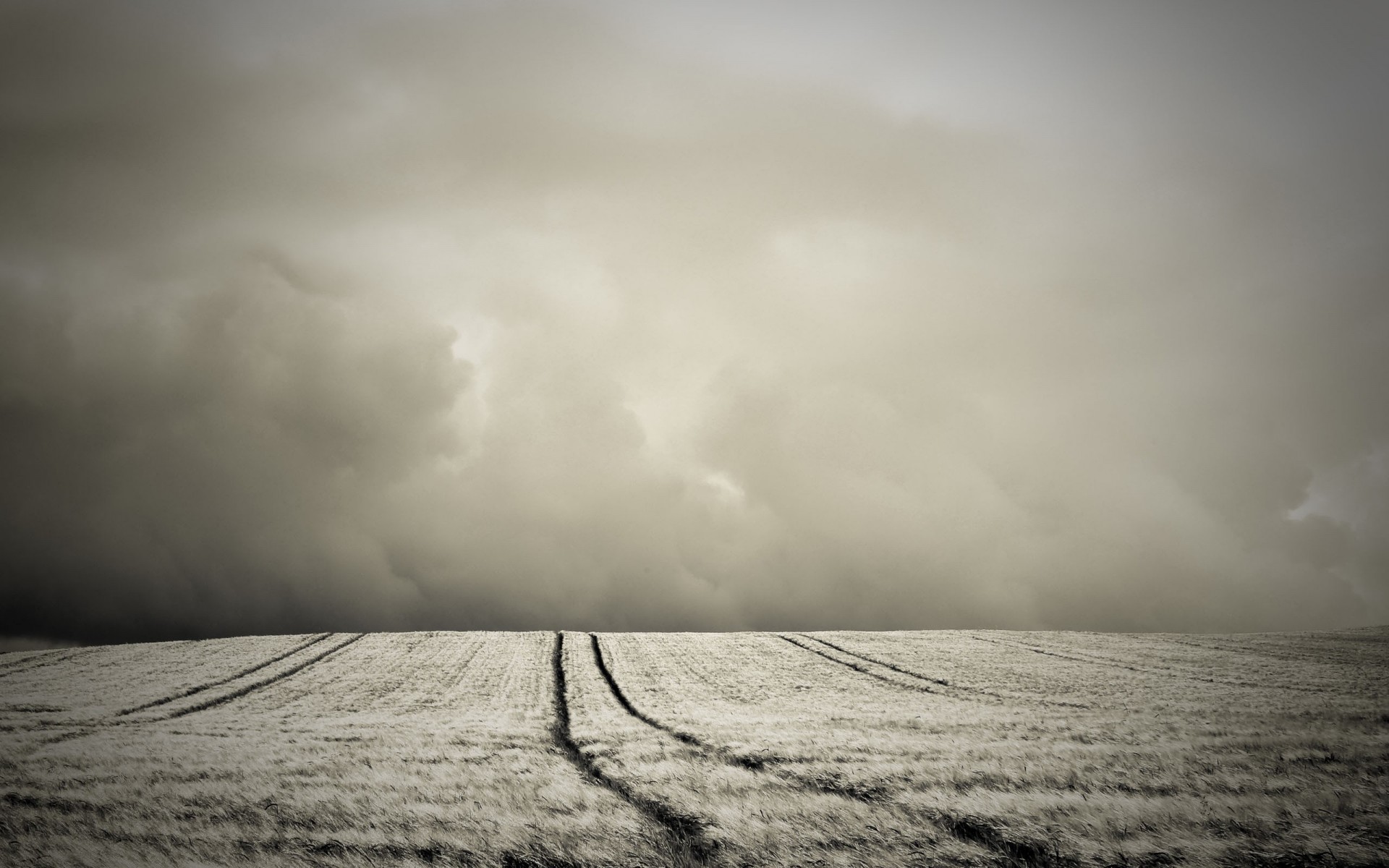 pole wzgórze sepia