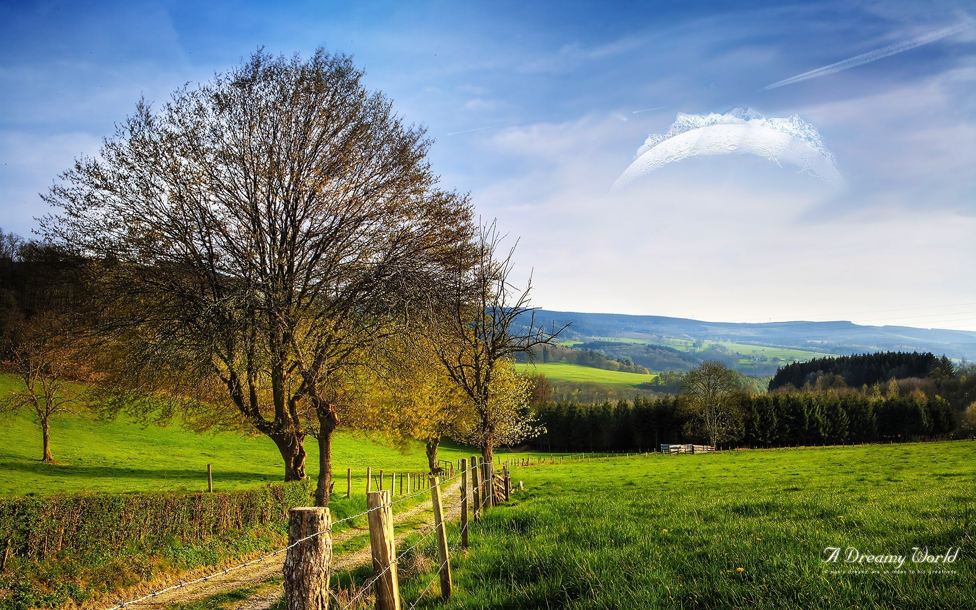 dreamy world the field road fence tree