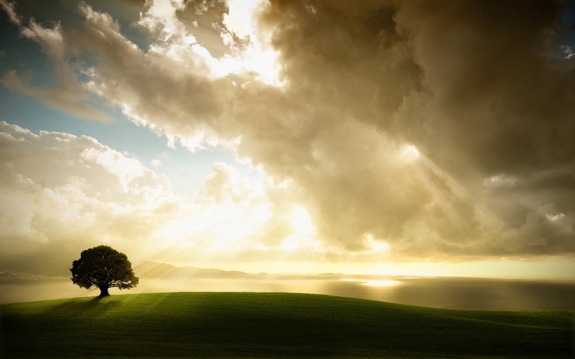 lumière nuages arbre