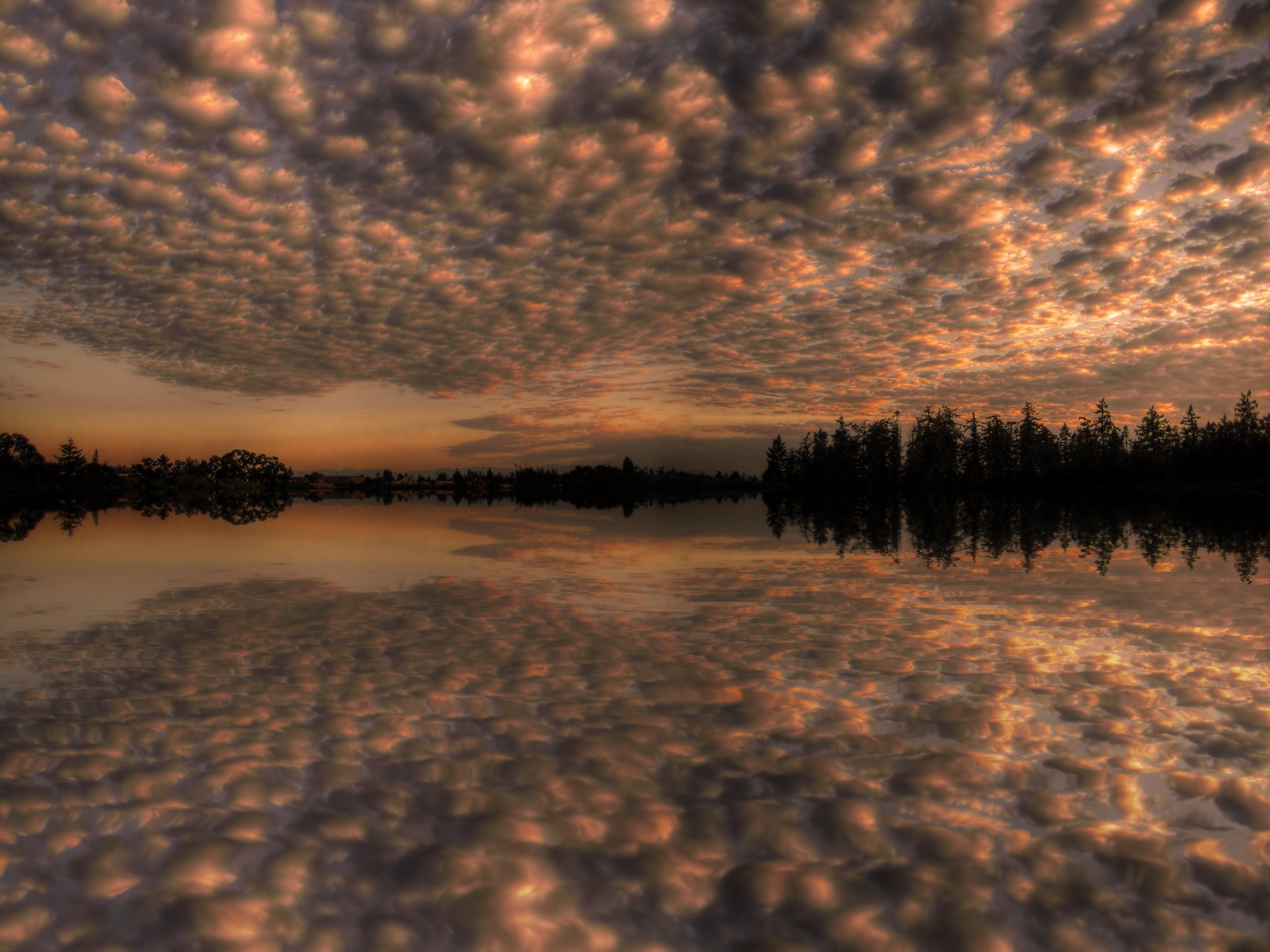 cielo nuvole riflessione alberi lago