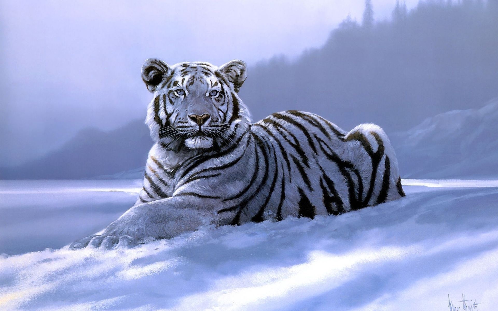 tigres especies depredadores nieve animales invierno