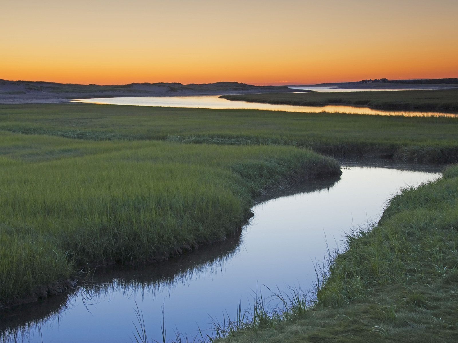 creek grass morning