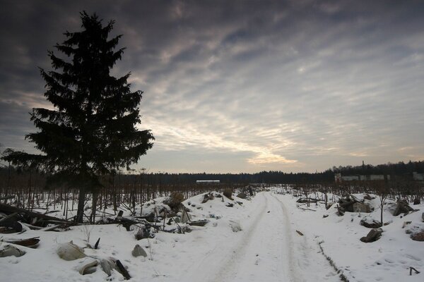 Gloomy dirty winter road