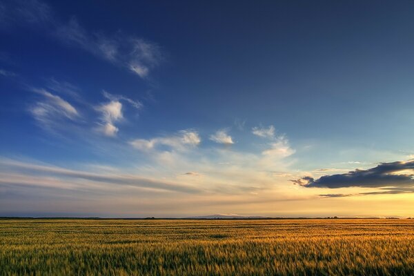 Russian field. Sky and clouds