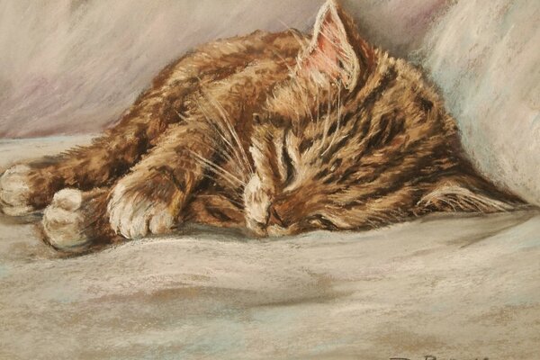 Disegno di un gattino addormentato. Artista d. bargur