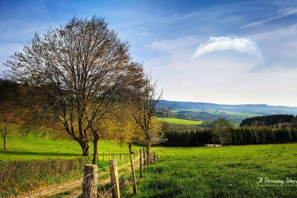 Zaun entlang der Straße in der Nähe eines Baumes im Feld