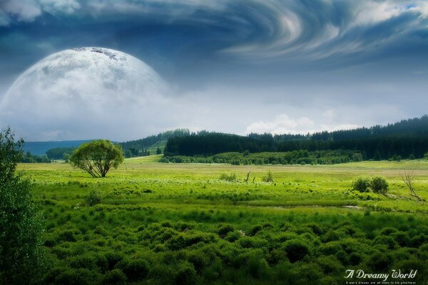 Mondo da sogno tra campi, foreste, nuvole sotto la luna
