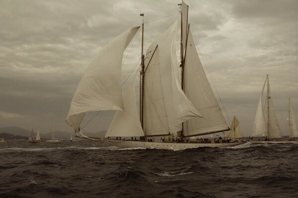 Yacht avec des voiles surélevées sur l eau