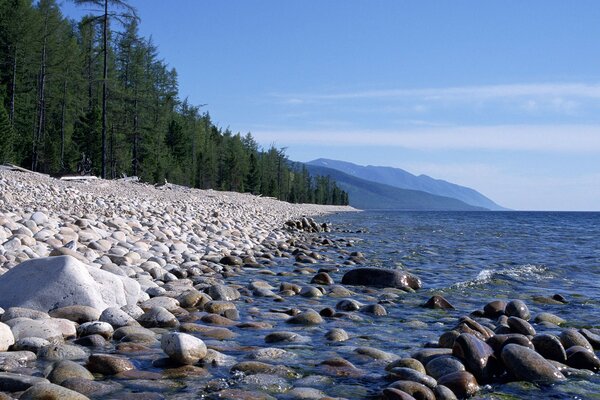 Steine im Meer, Wald am Meer, Berge in der Ferne