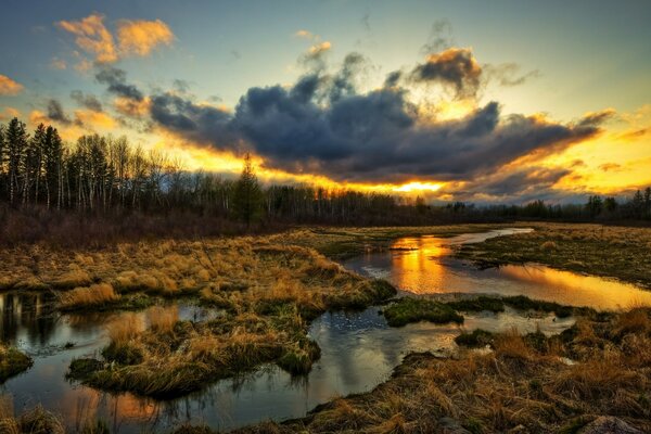 Puesta de sol en el borde del bosque de abedul