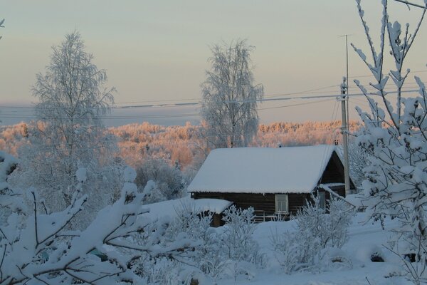 A lonely little house among snow-covered trees