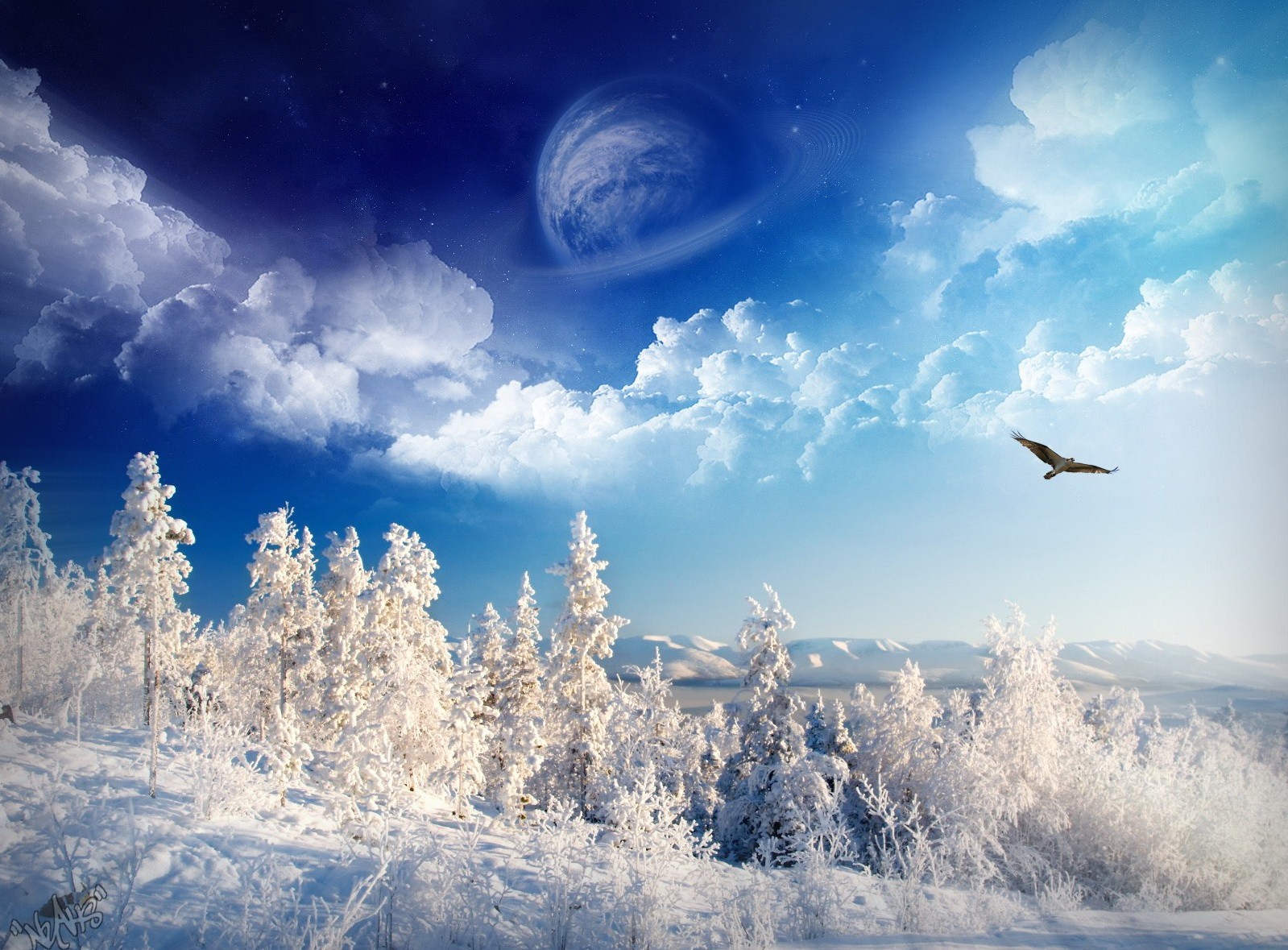 зима планета снег деревья орел небо