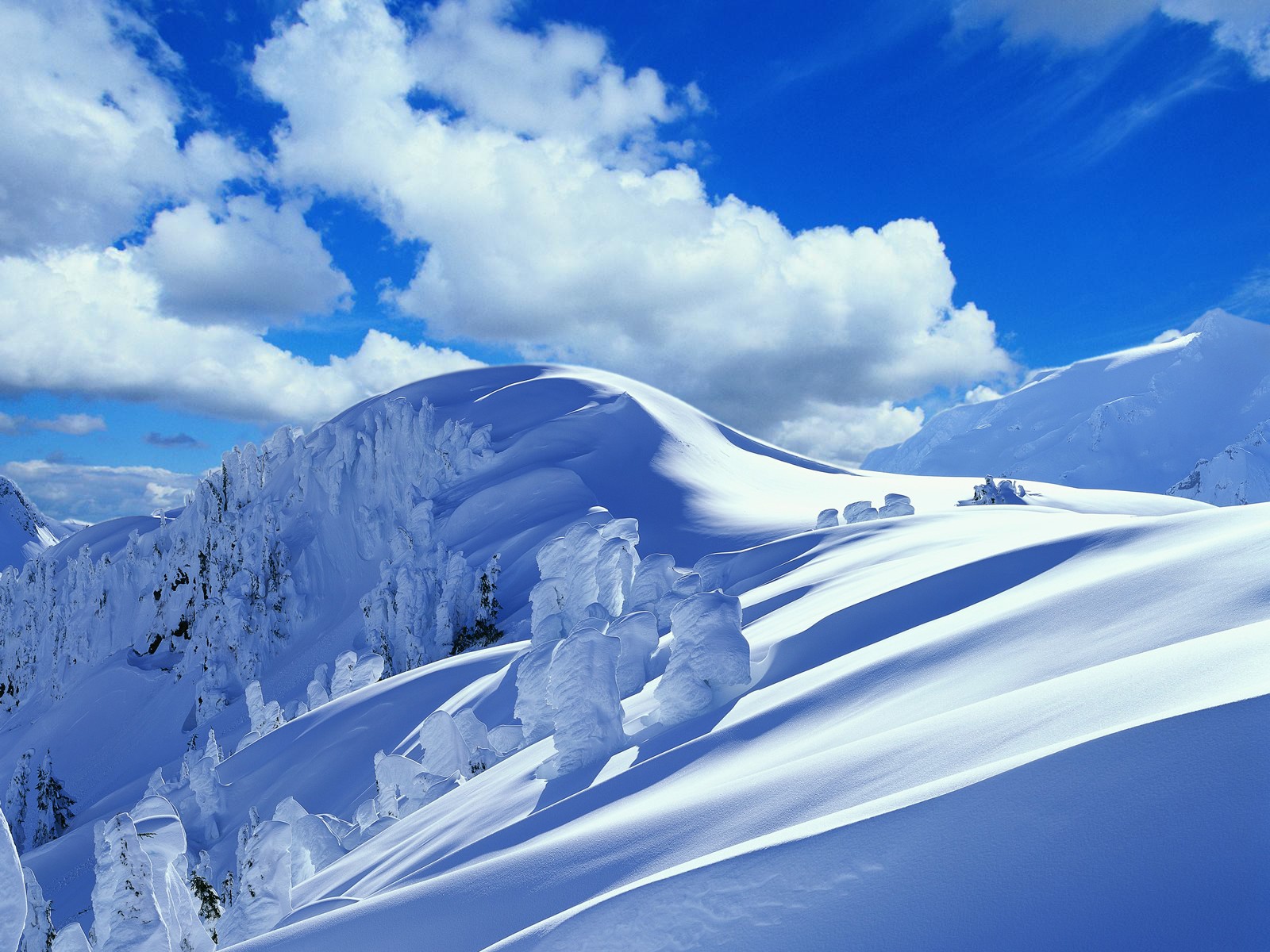 hiver neige montagnes nuages congère arbres