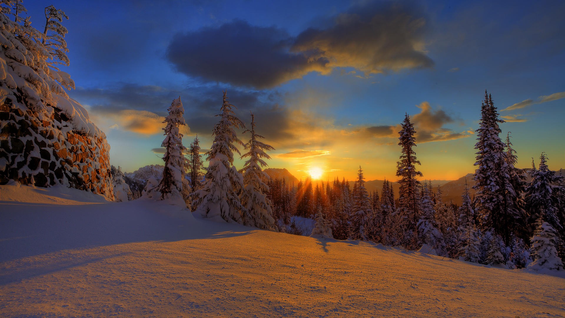 hiver forêt neige arbres de noël ciel coucher de soleil nuages nature beauté