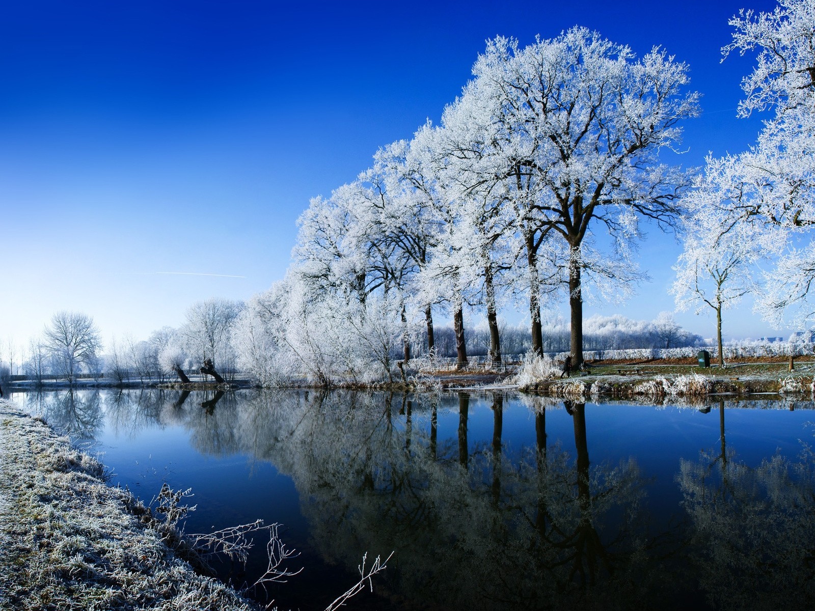 зима иней вода деревья