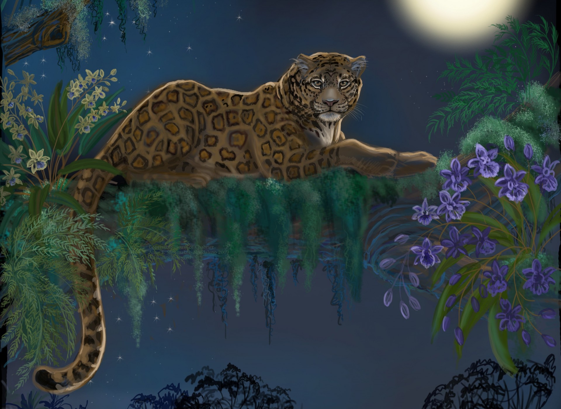 arte predatore leopardo albero specie coda animale