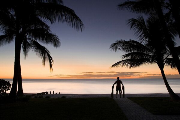 Silhouette eines Mannes auf dem Hintergrund eines Sonnenuntergangs am Meer. Hohe Palmen