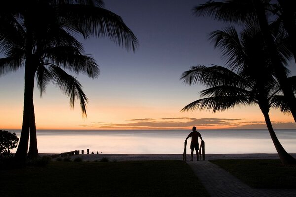 The silhouette of a man against the sunset by the sea. Tall palm trees