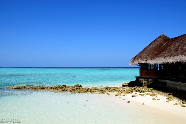 Fisherman s hut on the seashore