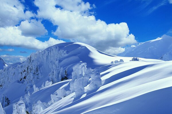 Schneeverwehungen im Winter in den Bergen verschneite Bäume