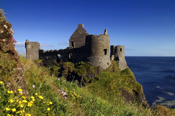 Castle on the ocean background on wallpaper