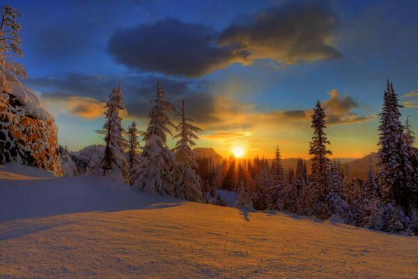 Зима лес снег ёлки небо закат