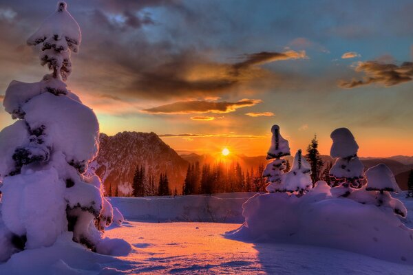 Лучи солнца освещают зимний лес