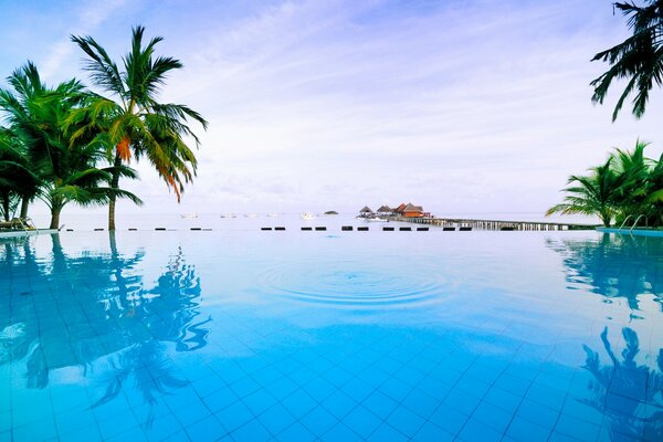 Piscine avec de l eau bleue claire en Thaïlande. Palmiers et ciel