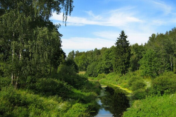 Ein blauer Fluss zwischen zwei grünen Ufern von bewachsenen Bäumen und einem Himmel mit weißen gefiederten Wolken