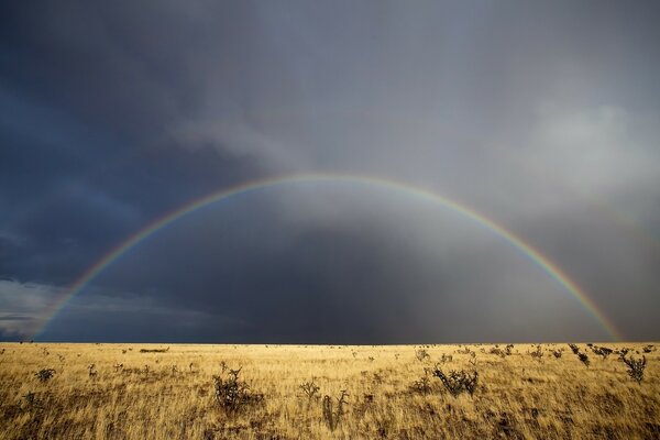 Nuage herbe ciel arc-en-ciel