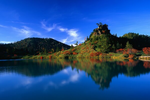 Riflessione della foresta nelle acque dei laghi giapponesi