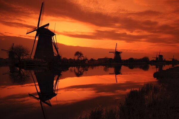 Windmühlen bei Sonnenuntergang in den Niederlanden