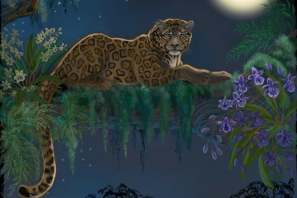 Arte de leopardo en un árbol. Vista nocturna