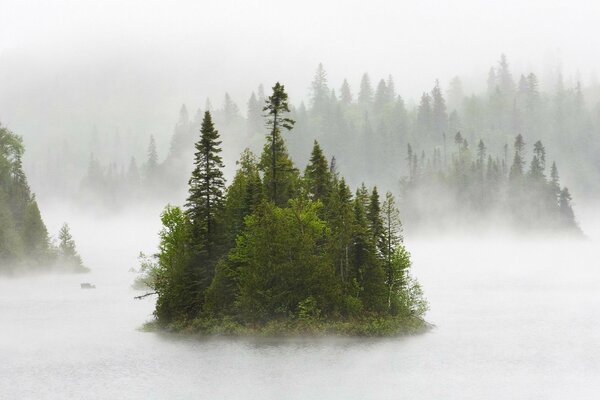 A lonely island on a foggy morning