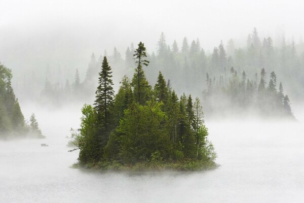 Samotna wyspa w mglisty poranek