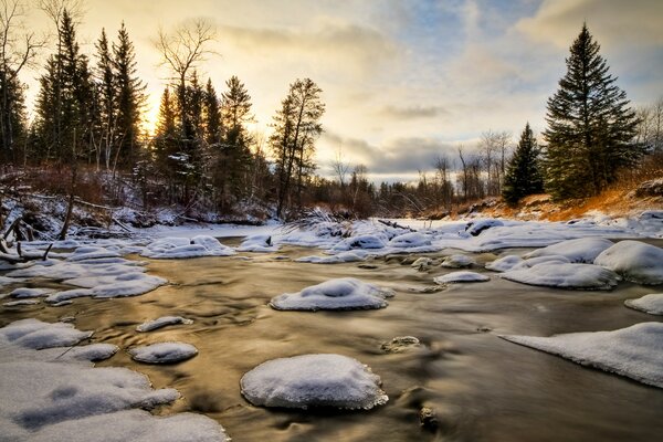 Winter forest. Islands of snow in the water. Snow trees